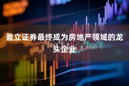 盈立证券最终成为房地产领域的龙头企业
