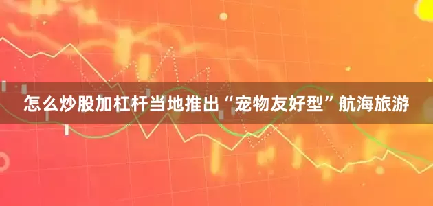 怎么炒股加杠杆当地推出“宠物友好型”航海旅游