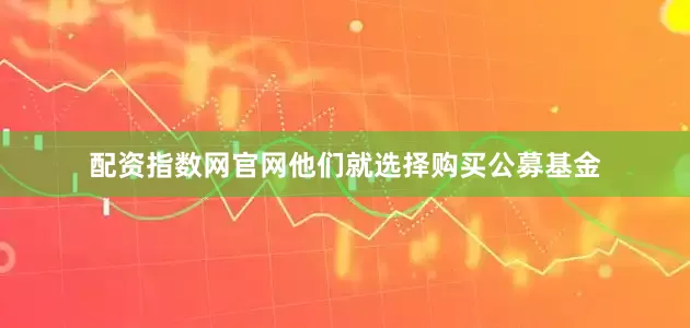 配资指数网官网他们就选择购买公募基金