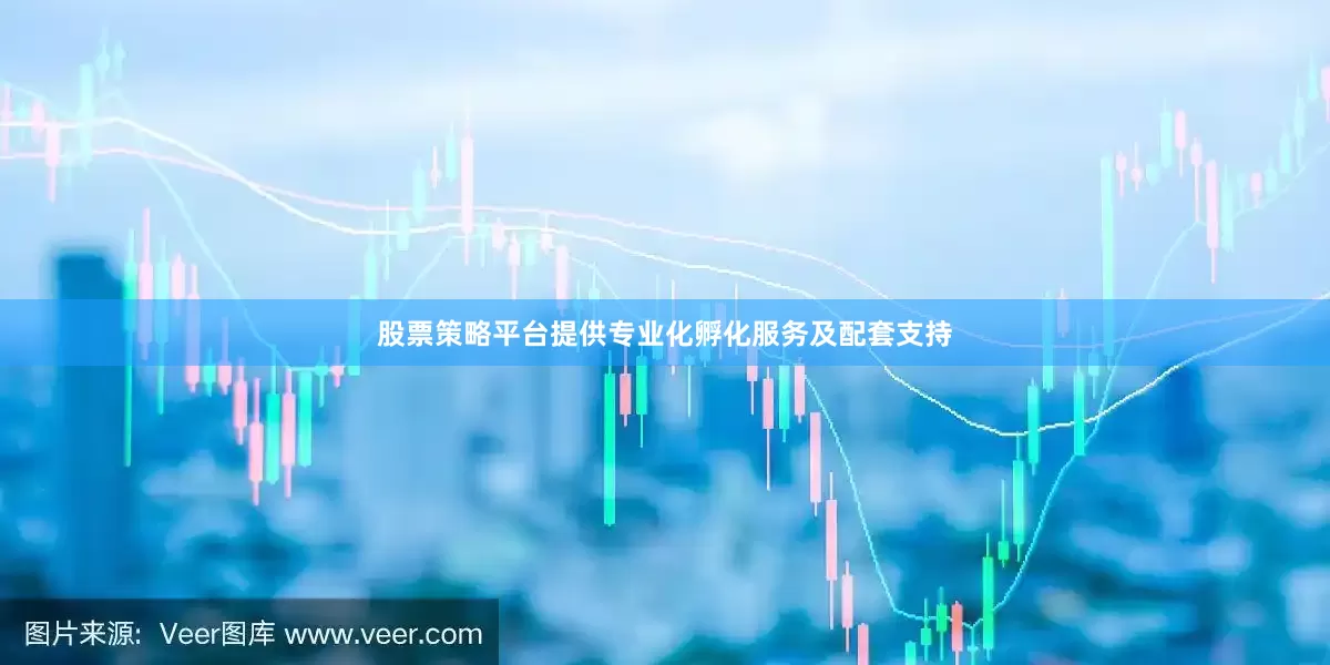 股票策略平台提供专业化孵化服务及配套支持