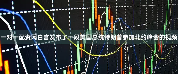 一对一配资网白宫发布了一段美国总统特朗普参加北约峰会的视频