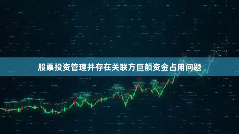 股票投资管理并存在关联方巨额资金占用问题