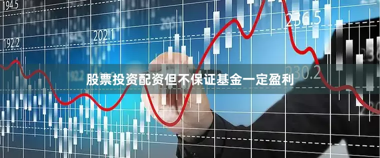 股票投资配资但不保证基金一定盈利