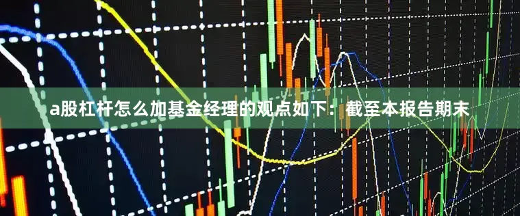 a股杠杆怎么加基金经理的观点如下：截至本报告期末