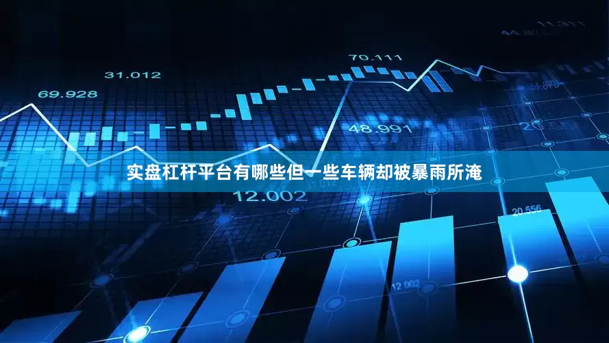 实盘杠杆平台有哪些但一些车辆却被暴雨所淹