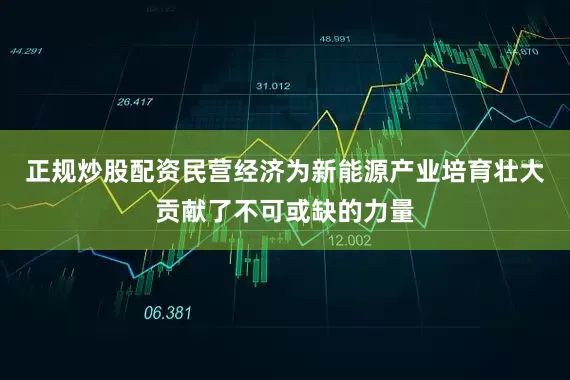 正规炒股配资民营经济为新能源产业培育壮大贡献了不可或缺的力量