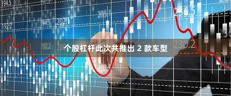 个股杠杆此次共推出 2 款车型